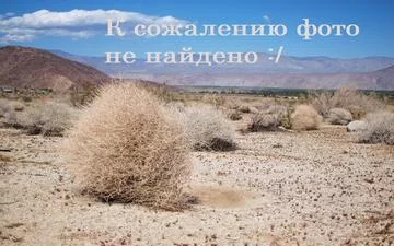Фото новостройки ЖК «Одинцово, мкр. 8, корп. 25» от СУ-155 ЖК «Одинцово, мкр. 8, корп. 25» от СУ-155 - планировки, цены