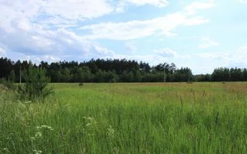 Коттеджный поселок «Лисицыны лужки» Коттеджный поселок «Лисицыны лужки»