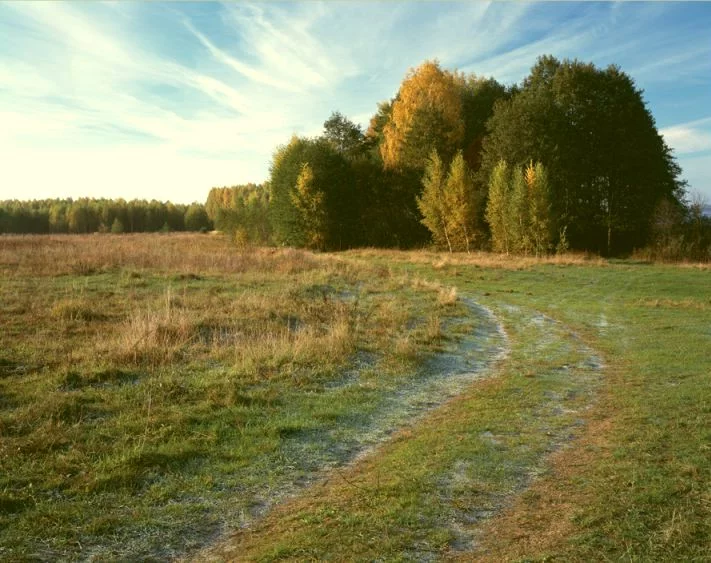 ΠΊΠΎΡΡΠ΅Π΄ΠΆΠ½ΡΠΉ ΠΏΠΎΡΠ΅Π»ΠΎΠΊ ΡΠΏΠ°Ρ Π·Π°Π²ΠΈΠ΄ΠΎΠ²ΠΎ. Π‘ΠΌΠΎΡΡΠ΅ΡΡ ΡΠΎΡΠΎ ΠΊΠΎΡΡΠ΅Π΄ΠΆΠ½ΡΠΉ ΠΏΠΎΡΠ΅Π»ΠΎΠΊ ΡΠΏΠ°Ρ Π·Π°Π²ΠΈΠ΄ΠΎΠ²ΠΎ. Π‘ΠΌΠΎΡΡΠ΅ΡΡ ΠΊΠ°ΡΡΠΈΠ½ΠΊΡ ΠΊΠΎΡΡΠ΅Π΄ΠΆΠ½ΡΠΉ ΠΏΠΎΡΠ΅Π»ΠΎΠΊ ΡΠΏΠ°Ρ Π·Π°Π²ΠΈΠ΄ΠΎΠ²ΠΎ. ΠΠ°ΡΡΠΈΠ½ΠΊΠ° ΠΏΡΠΎ ΠΊΠΎΡΡΠ΅Π΄ΠΆΠ½ΡΠΉ ΠΏΠΎΡΠ΅Π»ΠΎΠΊ ΡΠΏΠ°Ρ Π·Π°Π²ΠΈΠ΄ΠΎΠ²ΠΎ. Π€ΠΎΡΠΎ ΠΊΠΎΡΡΠ΅Π΄ΠΆΠ½ΡΠΉ ΠΏΠΎΡΠ΅Π»ΠΎΠΊ ΡΠΏΠ°Ρ Π·Π°Π²ΠΈΠ΄ΠΎΠ²ΠΎ ΠΊΠΎΡΡΠ΅Π΄ΠΆΠ½ΡΠΉ ΠΏΠΎΡΠ΅Π»ΠΎΠΊ ΡΠΏΠ°Ρ Π·Π°Π²ΠΈΠ΄ΠΎΠ²ΠΎ. Π‘ΠΌΠΎΡΡΠ΅ΡΡ ΡΠΎΡΠΎ ΠΊΠΎΡΡΠ΅Π΄ΠΆΠ½ΡΠΉ ΠΏΠΎΡΠ΅Π»ΠΎΠΊ ΡΠΏΠ°Ρ Π·Π°Π²ΠΈΠ΄ΠΎΠ²ΠΎ. Π‘ΠΌΠΎΡΡΠ΅ΡΡ ΠΊΠ°ΡΡΠΈΠ½ΠΊΡ ΠΊΠΎΡΡΠ΅Π΄ΠΆΠ½ΡΠΉ ΠΏΠΎΡΠ΅Π»ΠΎΠΊ ΡΠΏΠ°Ρ Π·Π°Π²ΠΈΠ΄ΠΎΠ²ΠΎ. ΠΠ°ΡΡΠΈΠ½ΠΊΠ° ΠΏΡΠΎ ΠΊΠΎΡΡΠ΅Π΄ΠΆΠ½ΡΠΉ ΠΏΠΎΡΠ΅Π»ΠΎΠΊ ΡΠΏΠ°Ρ Π·Π°Π²ΠΈΠ΄ΠΎΠ²ΠΎ. Π€ΠΎΡΠΎ ΠΊΠΎΡΡΠ΅Π΄ΠΆΠ½ΡΠΉ ΠΏΠΎΡΠ΅Π»ΠΎΠΊ ΡΠΏΠ°Ρ Π·Π°Π²ΠΈΠ΄ΠΎΠ²ΠΎ