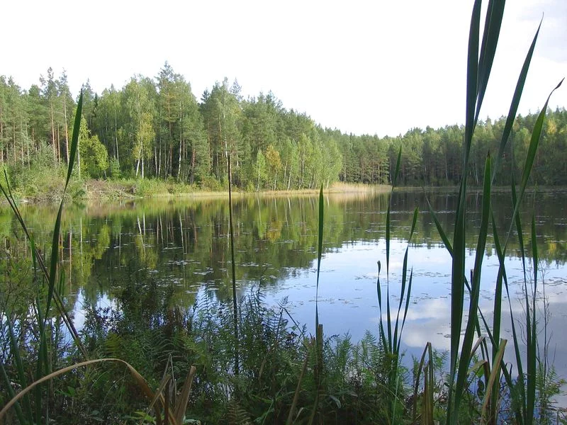 ΠΊΠΎΡΡΠ΅Π΄ΠΆΠ½ΡΠΉ ΠΏΠΎΡΠ΅Π»ΠΎΠΊ ΡΠΏΠ°Ρ Π·Π°Π²ΠΈΠ΄ΠΎΠ²ΠΎ. Π‘ΠΌΠΎΡΡΠ΅ΡΡ ΡΠΎΡΠΎ ΠΊΠΎΡΡΠ΅Π΄ΠΆΠ½ΡΠΉ ΠΏΠΎΡΠ΅Π»ΠΎΠΊ ΡΠΏΠ°Ρ Π·Π°Π²ΠΈΠ΄ΠΎΠ²ΠΎ. Π‘ΠΌΠΎΡΡΠ΅ΡΡ ΠΊΠ°ΡΡΠΈΠ½ΠΊΡ ΠΊΠΎΡΡΠ΅Π΄ΠΆΠ½ΡΠΉ ΠΏΠΎΡΠ΅Π»ΠΎΠΊ ΡΠΏΠ°Ρ Π·Π°Π²ΠΈΠ΄ΠΎΠ²ΠΎ. ΠΠ°ΡΡΠΈΠ½ΠΊΠ° ΠΏΡΠΎ ΠΊΠΎΡΡΠ΅Π΄ΠΆΠ½ΡΠΉ ΠΏΠΎΡΠ΅Π»ΠΎΠΊ ΡΠΏΠ°Ρ Π·Π°Π²ΠΈΠ΄ΠΎΠ²ΠΎ. Π€ΠΎΡΠΎ ΠΊΠΎΡΡΠ΅Π΄ΠΆΠ½ΡΠΉ ΠΏΠΎΡΠ΅Π»ΠΎΠΊ ΡΠΏΠ°Ρ Π·Π°Π²ΠΈΠ΄ΠΎΠ²ΠΎ ΠΊΠΎΡΡΠ΅Π΄ΠΆΠ½ΡΠΉ ΠΏΠΎΡΠ΅Π»ΠΎΠΊ ΡΠΏΠ°Ρ Π·Π°Π²ΠΈΠ΄ΠΎΠ²ΠΎ. Π‘ΠΌΠΎΡΡΠ΅ΡΡ ΡΠΎΡΠΎ ΠΊΠΎΡΡΠ΅Π΄ΠΆΠ½ΡΠΉ ΠΏΠΎΡΠ΅Π»ΠΎΠΊ ΡΠΏΠ°Ρ Π·Π°Π²ΠΈΠ΄ΠΎΠ²ΠΎ. Π‘ΠΌΠΎΡΡΠ΅ΡΡ ΠΊΠ°ΡΡΠΈΠ½ΠΊΡ ΠΊΠΎΡΡΠ΅Π΄ΠΆΠ½ΡΠΉ ΠΏΠΎΡΠ΅Π»ΠΎΠΊ ΡΠΏΠ°Ρ Π·Π°Π²ΠΈΠ΄ΠΎΠ²ΠΎ. ΠΠ°ΡΡΠΈΠ½ΠΊΠ° ΠΏΡΠΎ ΠΊΠΎΡΡΠ΅Π΄ΠΆΠ½ΡΠΉ ΠΏΠΎΡΠ΅Π»ΠΎΠΊ ΡΠΏΠ°Ρ Π·Π°Π²ΠΈΠ΄ΠΎΠ²ΠΎ. Π€ΠΎΡΠΎ ΠΊΠΎΡΡΠ΅Π΄ΠΆΠ½ΡΠΉ ΠΏΠΎΡΠ΅Π»ΠΎΠΊ ΡΠΏΠ°Ρ Π·Π°Π²ΠΈΠ΄ΠΎΠ²ΠΎ