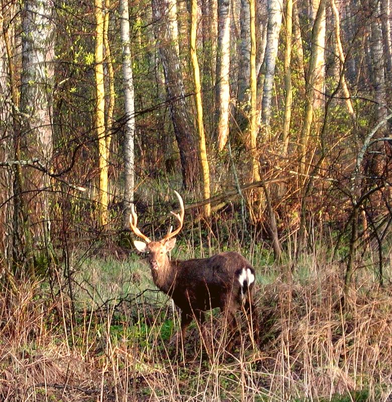 ΠΊΠΎΡΡΠ΅Π΄ΠΆΠ½ΡΠΉ ΠΏΠΎΡΠ΅Π»ΠΎΠΊ ΡΠΏΠ°Ρ Π·Π°Π²ΠΈΠ΄ΠΎΠ²ΠΎ. Π‘ΠΌΠΎΡΡΠ΅ΡΡ ΡΠΎΡΠΎ ΠΊΠΎΡΡΠ΅Π΄ΠΆΠ½ΡΠΉ ΠΏΠΎΡΠ΅Π»ΠΎΠΊ ΡΠΏΠ°Ρ Π·Π°Π²ΠΈΠ΄ΠΎΠ²ΠΎ. Π‘ΠΌΠΎΡΡΠ΅ΡΡ ΠΊΠ°ΡΡΠΈΠ½ΠΊΡ ΠΊΠΎΡΡΠ΅Π΄ΠΆΠ½ΡΠΉ ΠΏΠΎΡΠ΅Π»ΠΎΠΊ ΡΠΏΠ°Ρ Π·Π°Π²ΠΈΠ΄ΠΎΠ²ΠΎ. ΠΠ°ΡΡΠΈΠ½ΠΊΠ° ΠΏΡΠΎ ΠΊΠΎΡΡΠ΅Π΄ΠΆΠ½ΡΠΉ ΠΏΠΎΡΠ΅Π»ΠΎΠΊ ΡΠΏΠ°Ρ Π·Π°Π²ΠΈΠ΄ΠΎΠ²ΠΎ. Π€ΠΎΡΠΎ ΠΊΠΎΡΡΠ΅Π΄ΠΆΠ½ΡΠΉ ΠΏΠΎΡΠ΅Π»ΠΎΠΊ ΡΠΏΠ°Ρ Π·Π°Π²ΠΈΠ΄ΠΎΠ²ΠΎ ΠΊΠΎΡΡΠ΅Π΄ΠΆΠ½ΡΠΉ ΠΏΠΎΡΠ΅Π»ΠΎΠΊ ΡΠΏΠ°Ρ Π·Π°Π²ΠΈΠ΄ΠΎΠ²ΠΎ. Π‘ΠΌΠΎΡΡΠ΅ΡΡ ΡΠΎΡΠΎ ΠΊΠΎΡΡΠ΅Π΄ΠΆΠ½ΡΠΉ ΠΏΠΎΡΠ΅Π»ΠΎΠΊ ΡΠΏΠ°Ρ Π·Π°Π²ΠΈΠ΄ΠΎΠ²ΠΎ. Π‘ΠΌΠΎΡΡΠ΅ΡΡ ΠΊΠ°ΡΡΠΈΠ½ΠΊΡ ΠΊΠΎΡΡΠ΅Π΄ΠΆΠ½ΡΠΉ ΠΏΠΎΡΠ΅Π»ΠΎΠΊ ΡΠΏΠ°Ρ Π·Π°Π²ΠΈΠ΄ΠΎΠ²ΠΎ. ΠΠ°ΡΡΠΈΠ½ΠΊΠ° ΠΏΡΠΎ ΠΊΠΎΡΡΠ΅Π΄ΠΆΠ½ΡΠΉ ΠΏΠΎΡΠ΅Π»ΠΎΠΊ ΡΠΏΠ°Ρ Π·Π°Π²ΠΈΠ΄ΠΎΠ²ΠΎ. Π€ΠΎΡΠΎ ΠΊΠΎΡΡΠ΅Π΄ΠΆΠ½ΡΠΉ ΠΏΠΎΡΠ΅Π»ΠΎΠΊ ΡΠΏΠ°Ρ Π·Π°Π²ΠΈΠ΄ΠΎΠ²ΠΎ